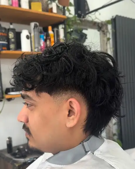 Curly top with a clean low fade